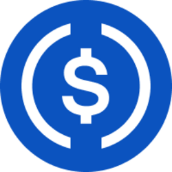 USDC (USDC) cryptocurrency logo